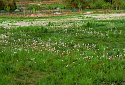 Aufstellungsbedingungen für das Teleskop