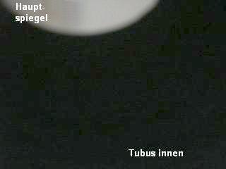 Tubus neu