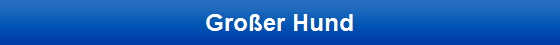 Großer Hund